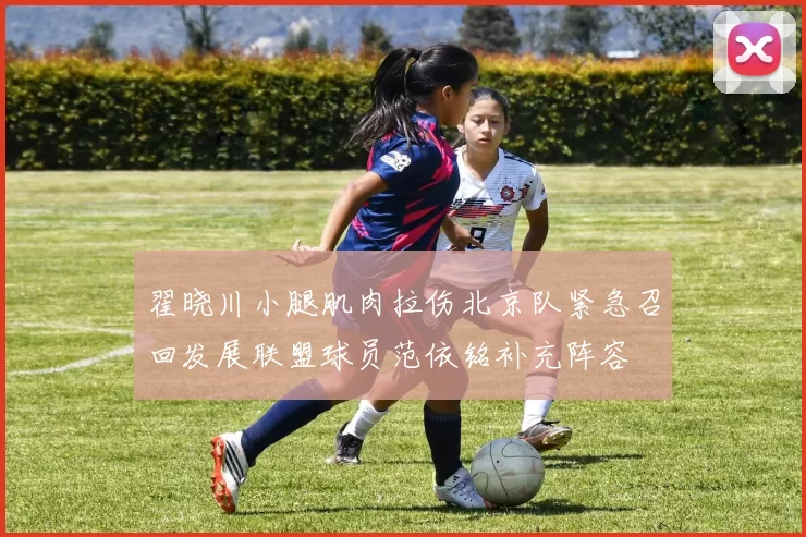 翟晓川小腿肌肉拉伤北京队紧急召回发展联盟球员范依铭补充阵容