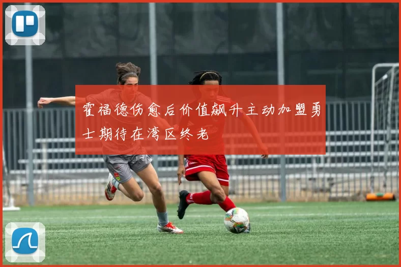 霍福德伤愈后价值飙升主动加盟勇士期待在湾区终老