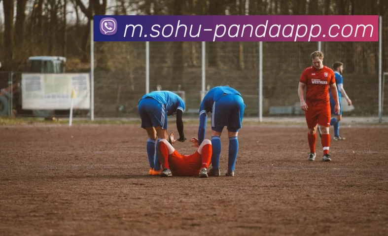 奖项证书